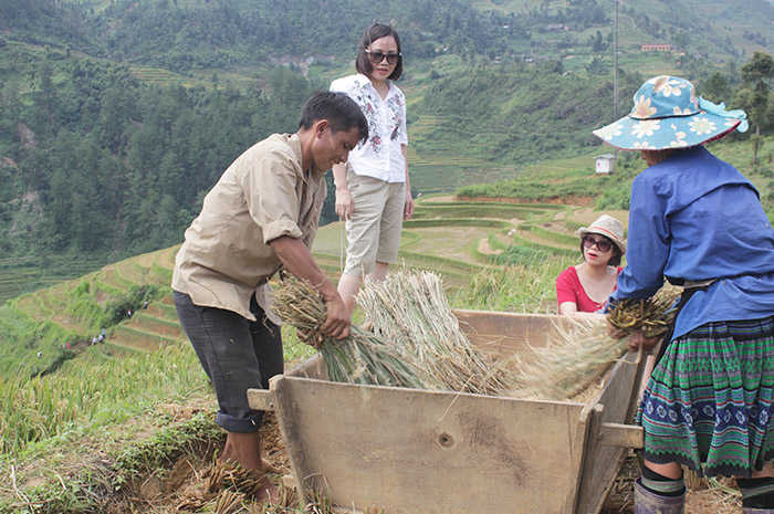 Hmong rice farmers in Vietnam - UCA News