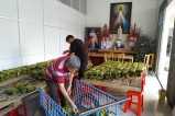 Vietnamese Catholics provide traditional Tet treat for poor 