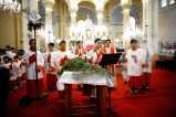 Asian Catholics celebrate Palm Sunday