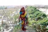 Life under the shadow of climate change in Bangladesh