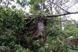 Cyclone Amphan ravages eastern India