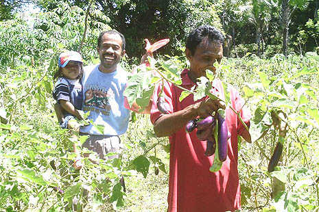 Caritas trains farmers in agriculture
