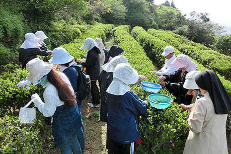 Tea refreshes Meiji-era 'relief center' 