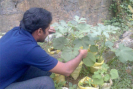 Youths offer eco-friendly alms 