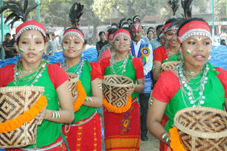 Appeal for culture at traditional festival