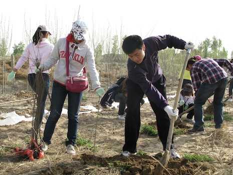 Gansu fights back against sandstorms