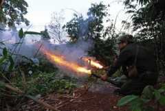 World pressure mounts over Kachin fighting 