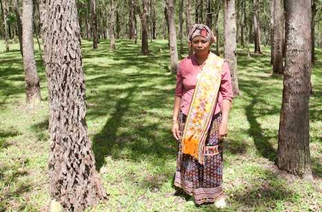 Indigenous woman scoops top environment award