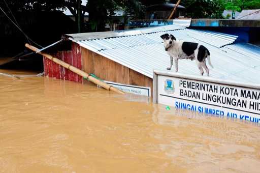 Indonesia flash floods kill at least 13