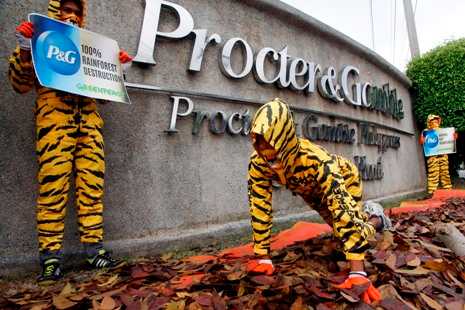 Proctor & Gamble is destroying tigers' habitats, says Greenpeace