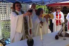 US woman defies Church to be ordained as priest