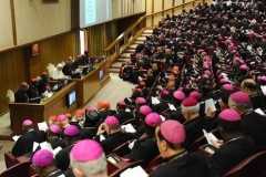 Irish president attacks plans for upcoming family synod