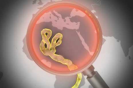 Doctor who discovered Ebola calms epidemic fears