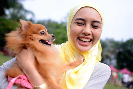 Malaysia Islamic authorities probe 'dog patting' event