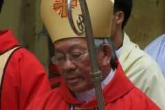 New Vietnam cardinal to face many challenges