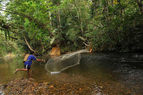 Indigenous turn to ecotourism to protect ancestral forests
