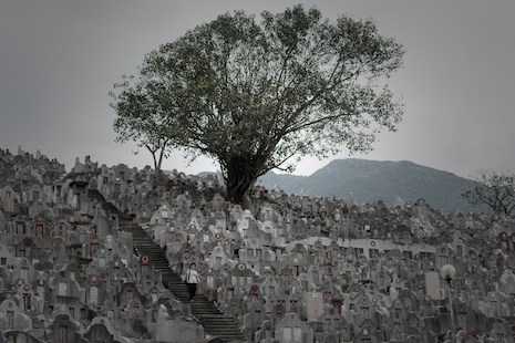China urges cremation of dead to save land, environment