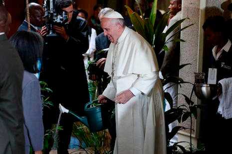 Protect environment or destroy it, pope says