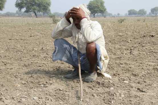 Faced with drought, Indian farmers look for help