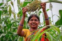Dalit women reap benefits of millet farming in India 
