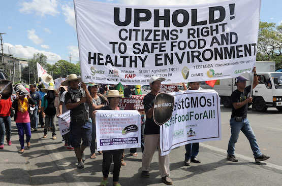 Philippine activists speak out against new GMO rules