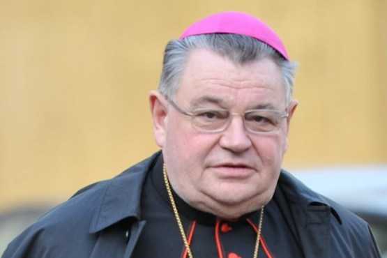 Zen backs Czech cardinal's support for China's believers