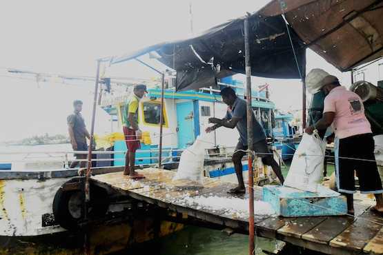 EU lifting ban on Sri Lankan fishing good for prices not environment  