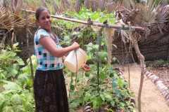 Organic farming to be encouraged in Sri Lankan parishes