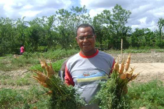 Organic farming saves Indonesian village