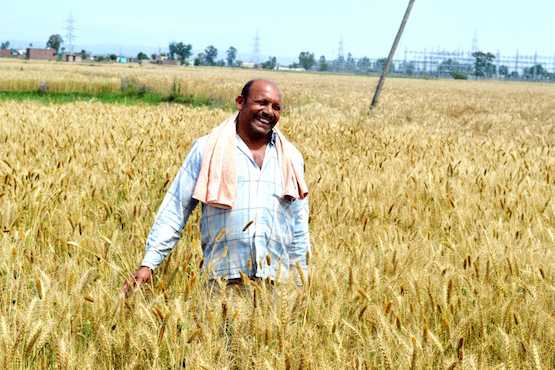 Caritas helps Kashmir farmers go organic 