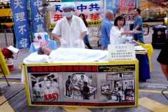 The horrors of organ harvesting in China 