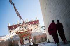 China tightens controls on Tibetan Buddhism