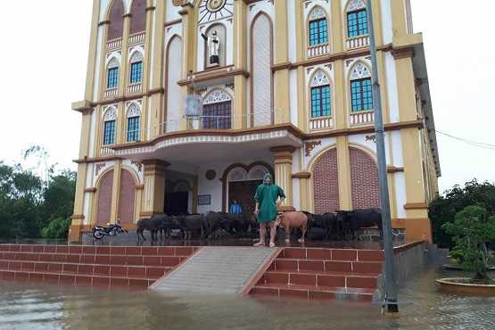 Church brings relief to flood victims in central Vietnam 