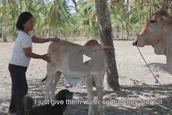 Combating drought in the Philippines 