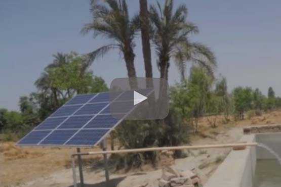 Solar revolution by Gujarat's farmers 
