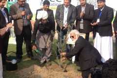 Caritas Pakistan aims to plant one million trees 
