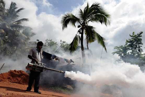 Sri Lankan parishes to help prevent spread of dengue fever