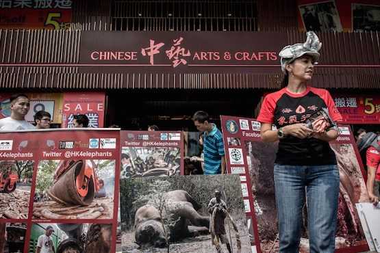 Hong Kong risks being China's backdoor for illegal animal goods