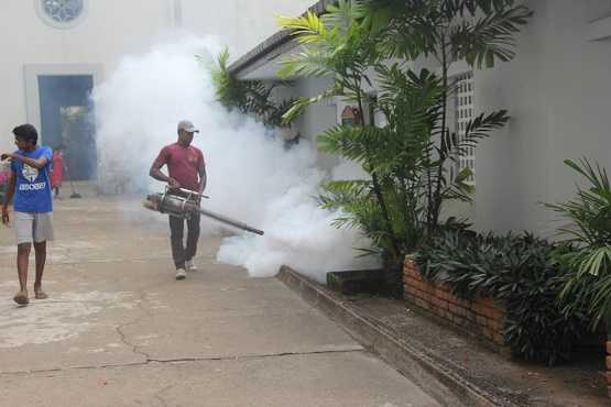Colombo Catholics battle dengue menace