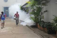Colombo Catholics battle dengue menace