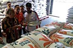 Indonesia's rice program 'failing to reduce poverty'
