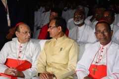 Indian bishops prioritize family life