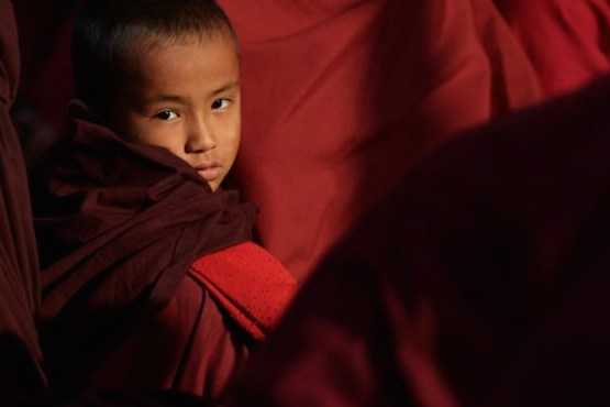 China rewards 'patriotic' Tibetan monks