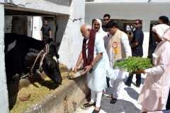 Indian nationalists increase cow slaughter penalty    