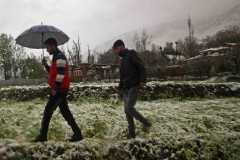 Bad weather kills Kashmiri farmers' hope of recovery 