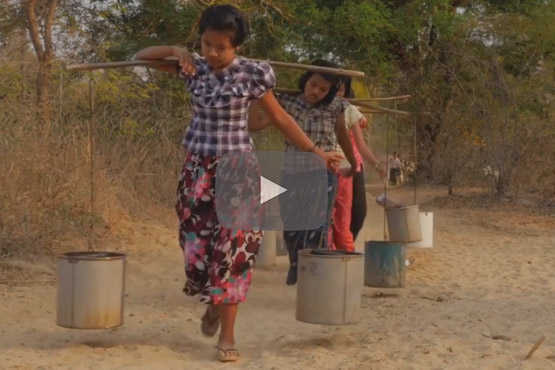 Greening the dry zone of Myanmar