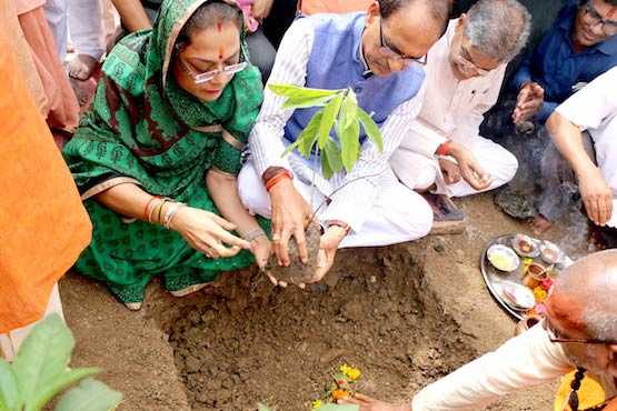Catholics boost central India's tree planting drive