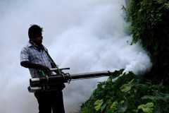 Sri Lankans to use prayer power against dengue epidemic