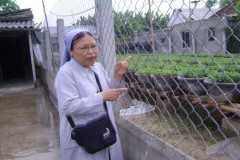 Nuns help Vietnamese farmers adapt to climate change