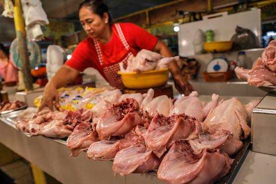 Philippines sounds alarm over bird flu threat 